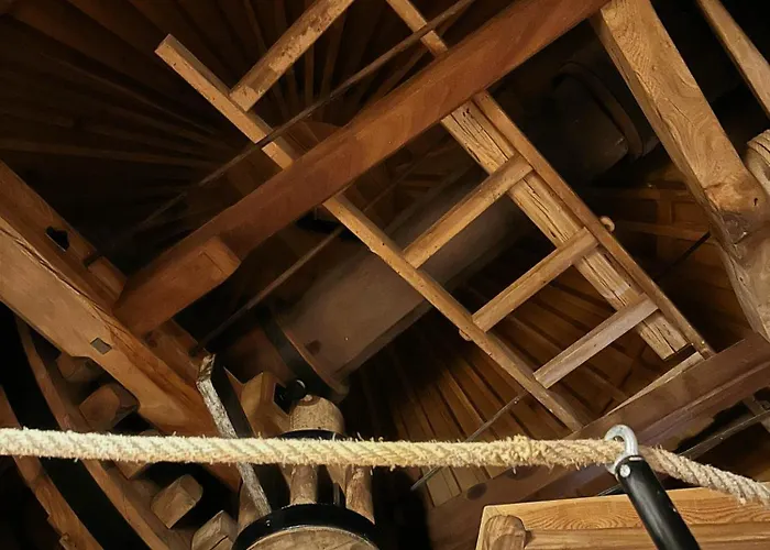 Moinho Do Duque ファームステイ Runa